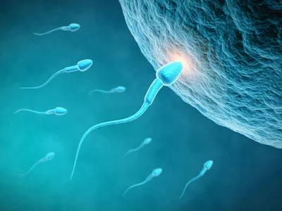 医生